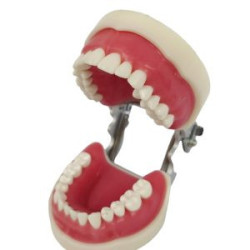 Banna Soft Gingiva Compatible With Nissan Cast MH-02