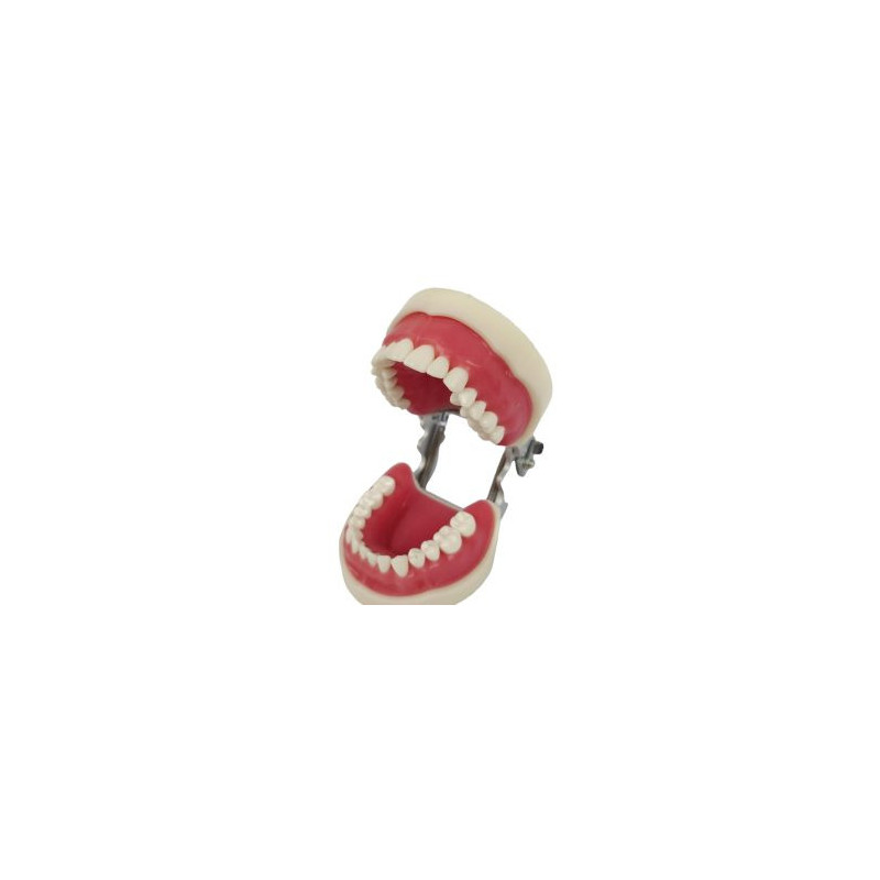 Banna Soft Gingiva Compatible With Nissan Cast MH-02