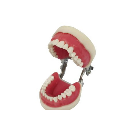 Banna Soft Gingiva Compatible With Nissan Cast MH-02