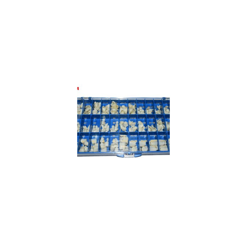 Anger Polycarbonate crowns Kit 144pcs