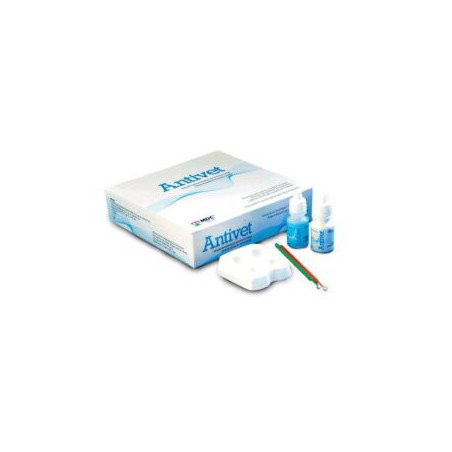 Antivet Kit Dental Enamel Cleaning-Kit