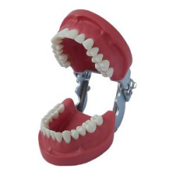 Banna New Cast Metal Articulator MH-01