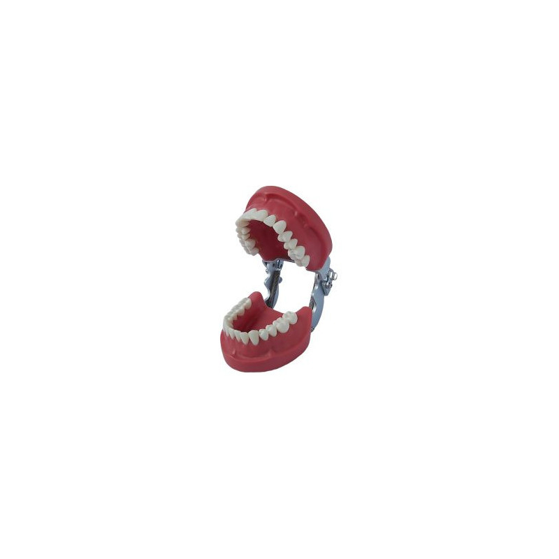 Banna New Cast Metal Articulator MH-01