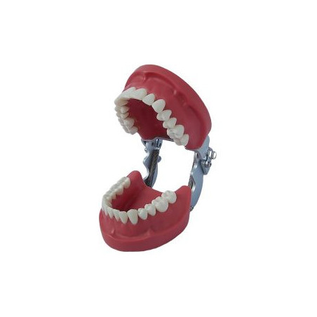 Banna New Cast Metal Articulator MH-01