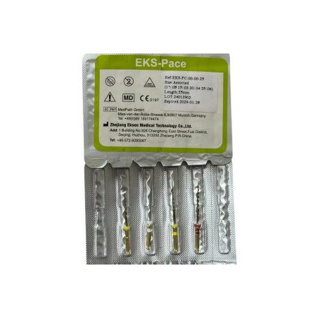 Eksen EKS Pace Rotary File