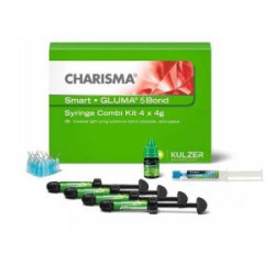 Kulzer Charisma Smart Composite 4 Syringe Kit