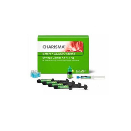 Kulzer Charisma Smart Composite 4 Syringe Kit