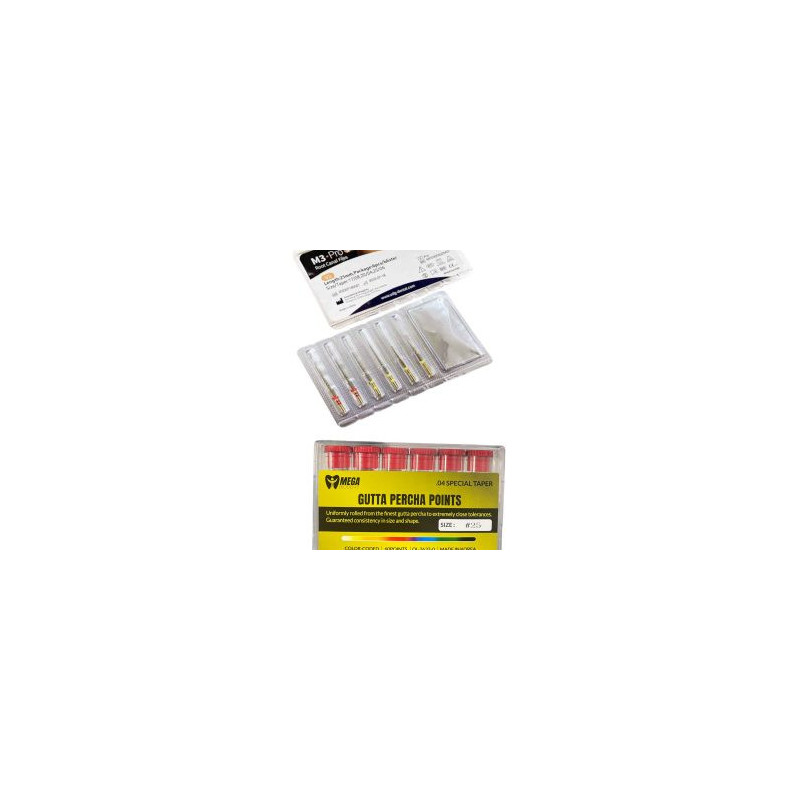 M3 Pro Gold Assort Rotary File And Gutta Percha 25 taper 4