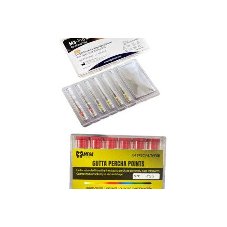 M3 Pro Gold Assort Rotary File And Gutta Percha 25 taper 4