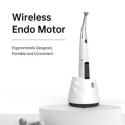 Refine iMotor Endo Motor