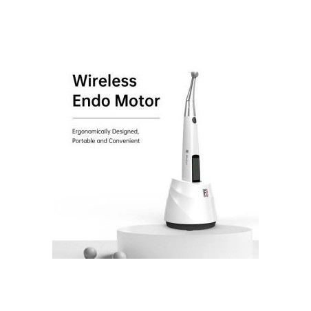 Refine iMotor Endo Motor