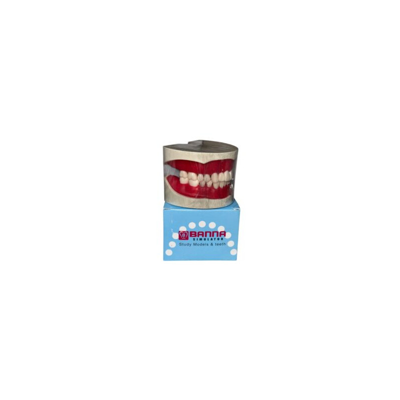 Cast Banna Magnatic With Extra Hard Teeth