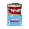 Cast Banna Magnatic With Extra Hard Teeth
