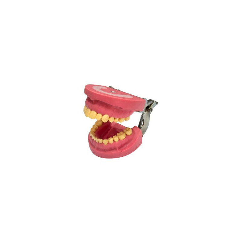 Cast Banna Model Copy Metal