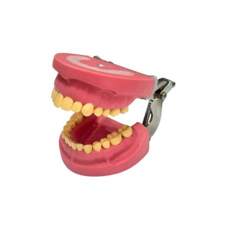 Cast Banna Model Copy Metal