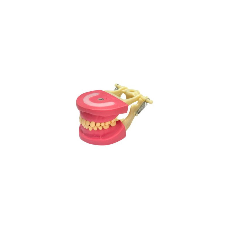 Cast Banna Model Copy Plastic