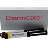 Charm Dual Cure Core Build Up
