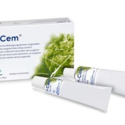 WP P-Cem