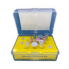 ZT Dental Polishing Kits