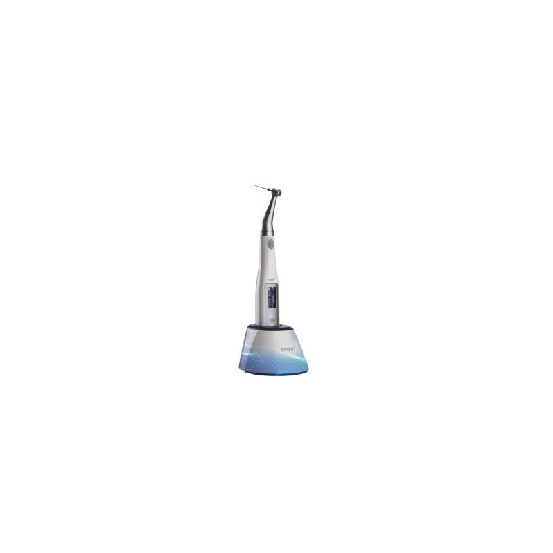 Denjoy i Mate3 Endo Motor