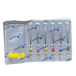 E Flex Gold Assorted Rotary File