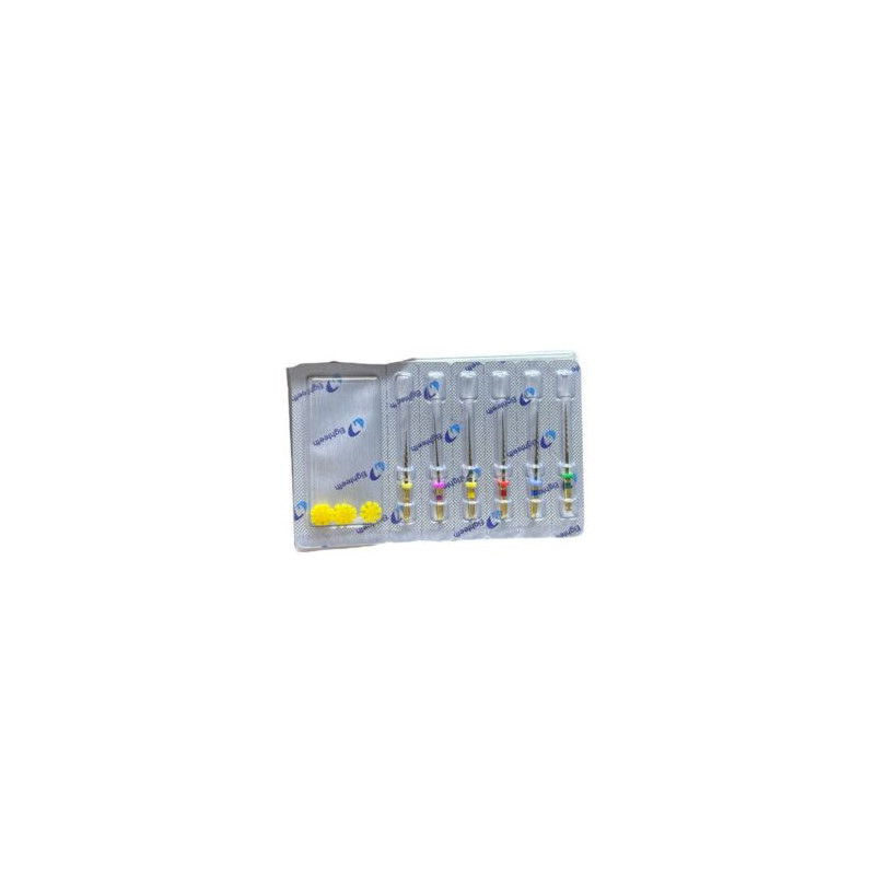 E Flex Gold Assorted Rotary File
