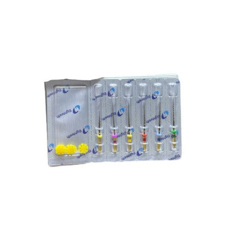 E Flex Gold Assorted Rotary File
