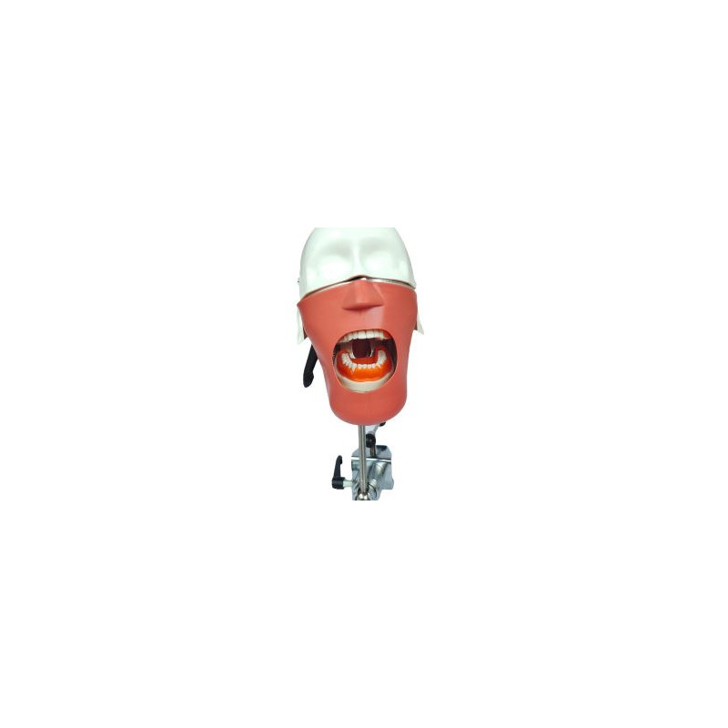 EL banna Dummy Head Advanced Type