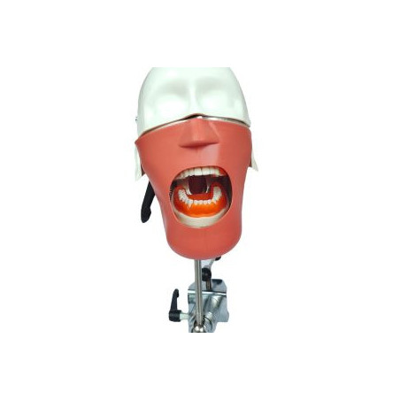 EL banna Dummy Head Advanced Type