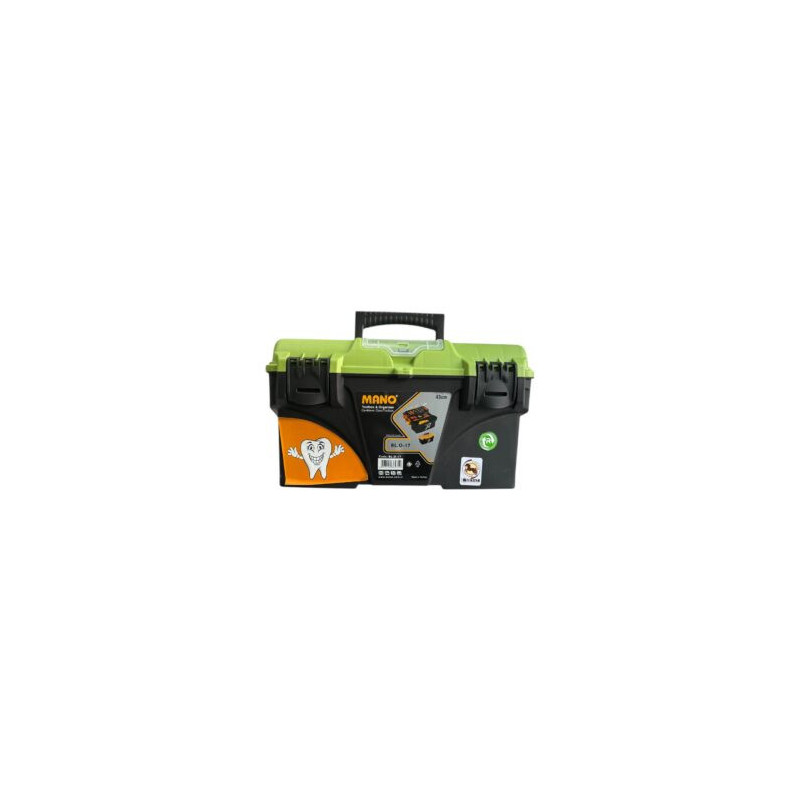 Green Dental Box Size 17