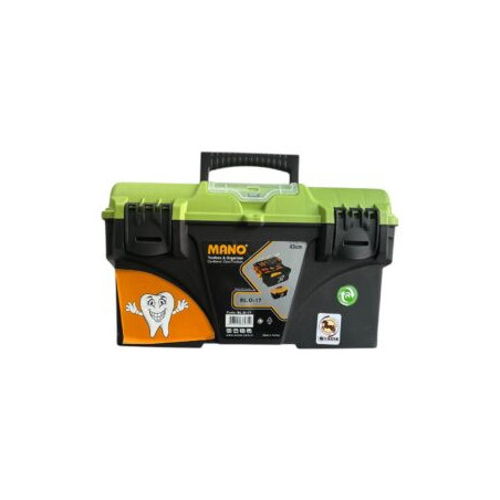 Green Dental Box Size 17