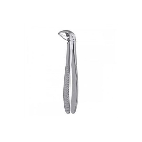 Lower Anterior Forceps