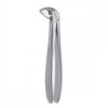 Lower Anterior Forceps