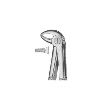 Lower Premolar Forceps