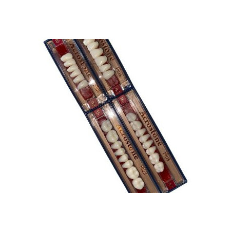 Acrostone Acrylic Teeth Sheet 16 A2