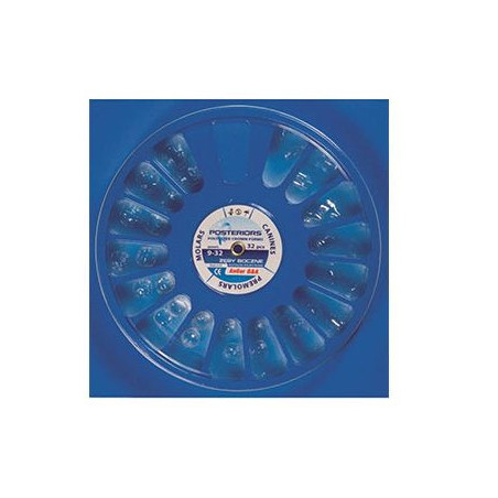 Anger Polyester Crown Assort 32pcs