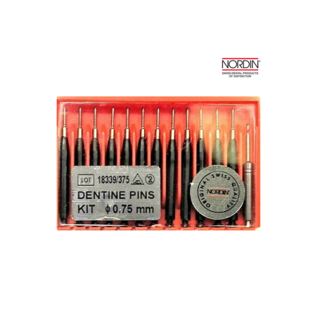 Nordin Amalgam Titanium Dentine Pins Refill, 0.75mm