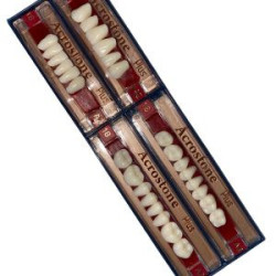 Acrostone Acrylic Teeth Sheet 18 A2