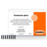 Promedica Composan glass Light curing compomer A2