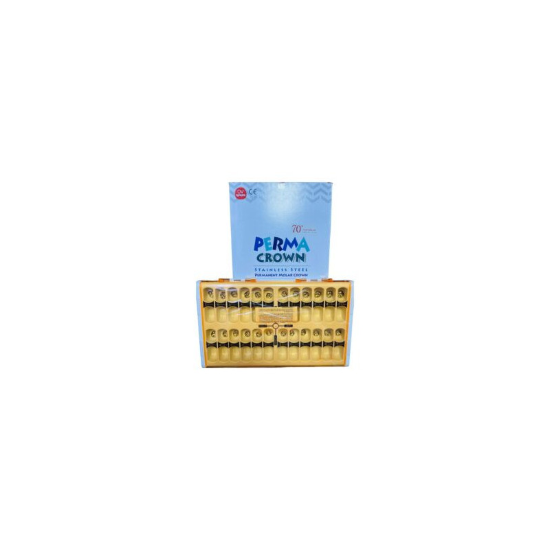 Shinhung Permanent Molar Crown 24pcs