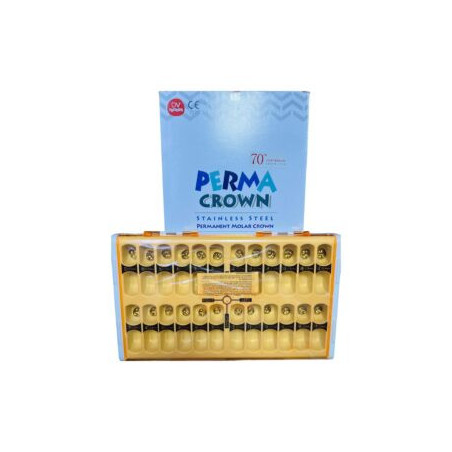 Shinhung Permanent Molar Crown 24pcs