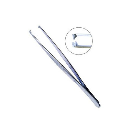 Tissue Forceps