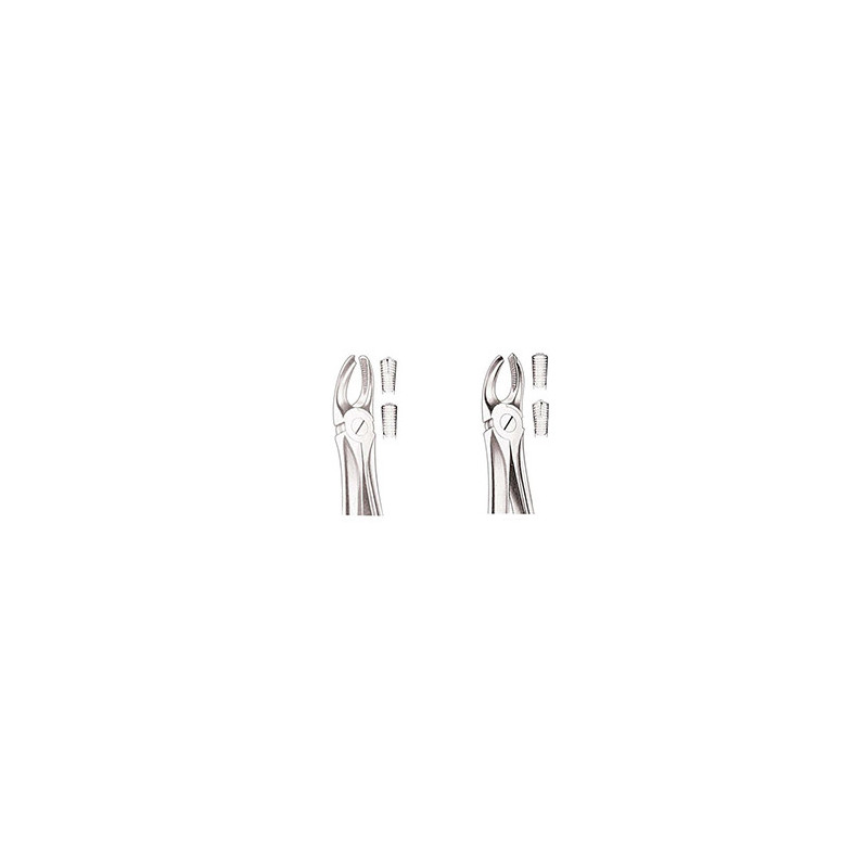 Upper Molar Forceps Right AND Left