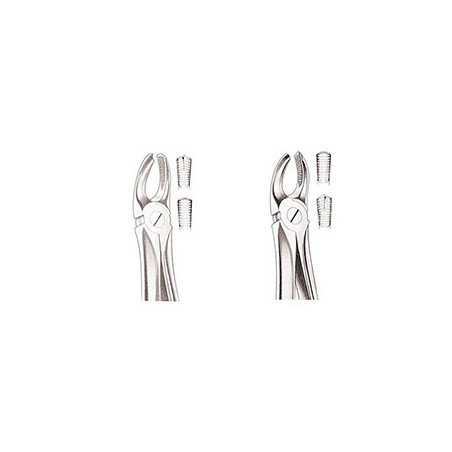 Upper Molar Forceps Right AND Left