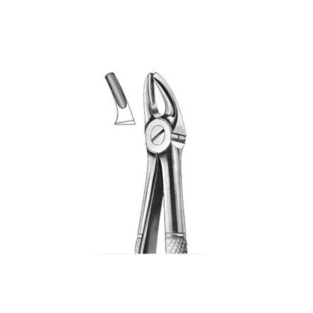 Upper Premolar Forceps