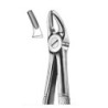Upper Premolar Forceps