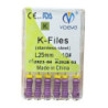 Videya K File 10
