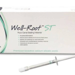 Well-Root ST – Bio-ceramic Sealer 0.5gm