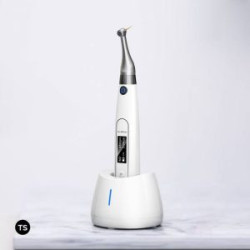 Woodpecker Ai Motor Endo And Apex