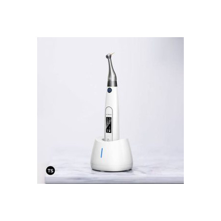 Woodpecker Ai Motor Endo And Apex